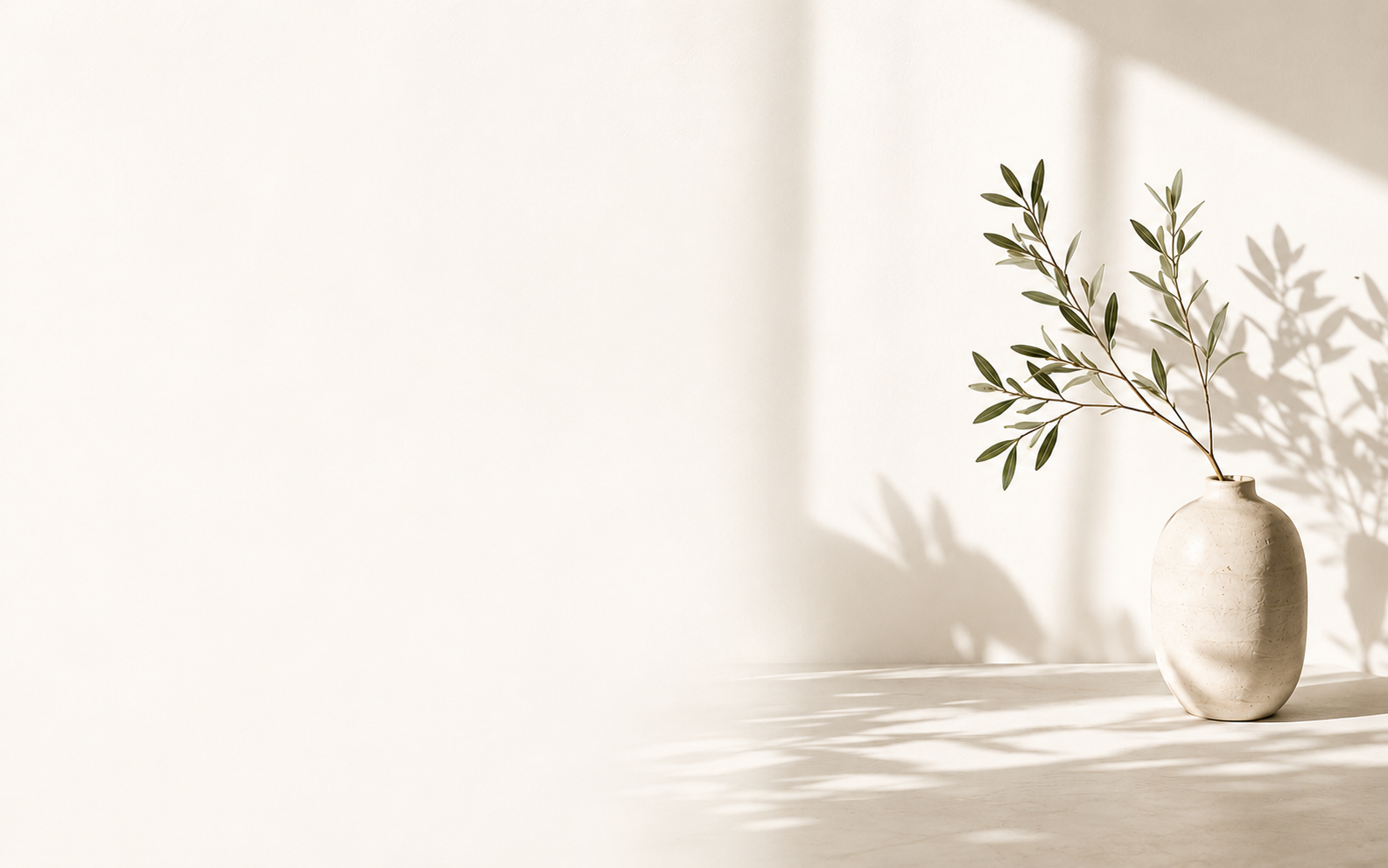Minimal ceramic vase with green branches in soft sunlight